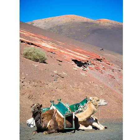 Вилла Julianne 3